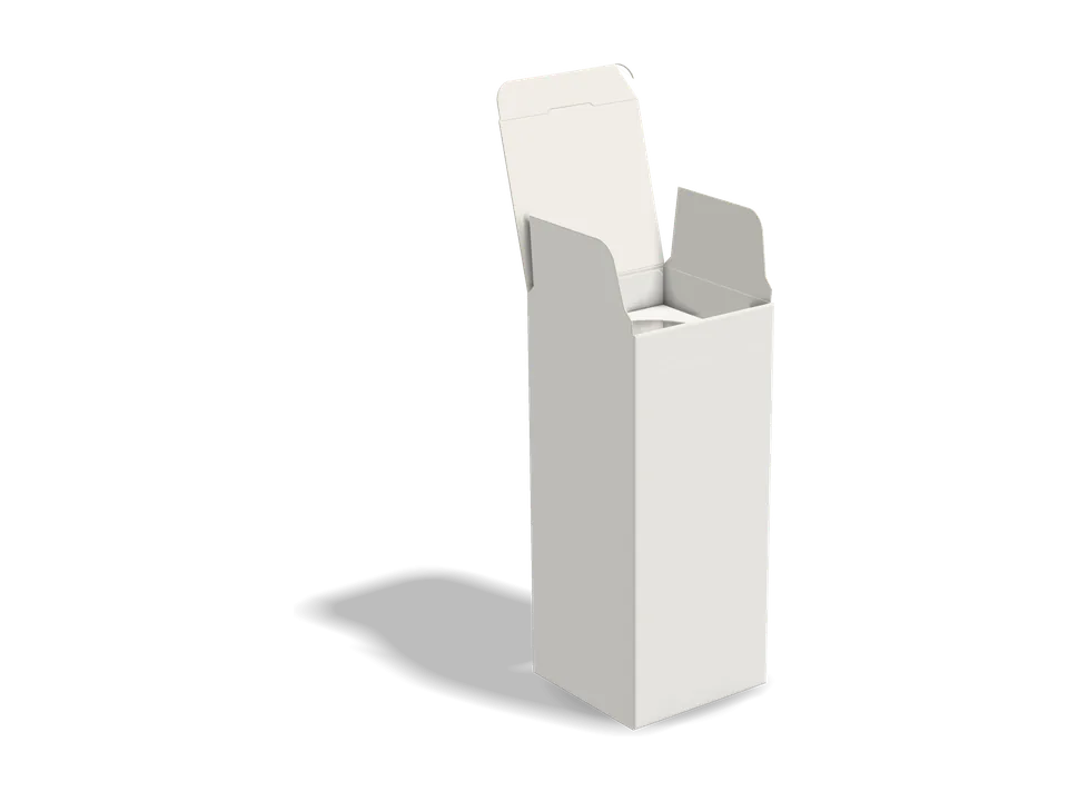 Carton with bottle inserts