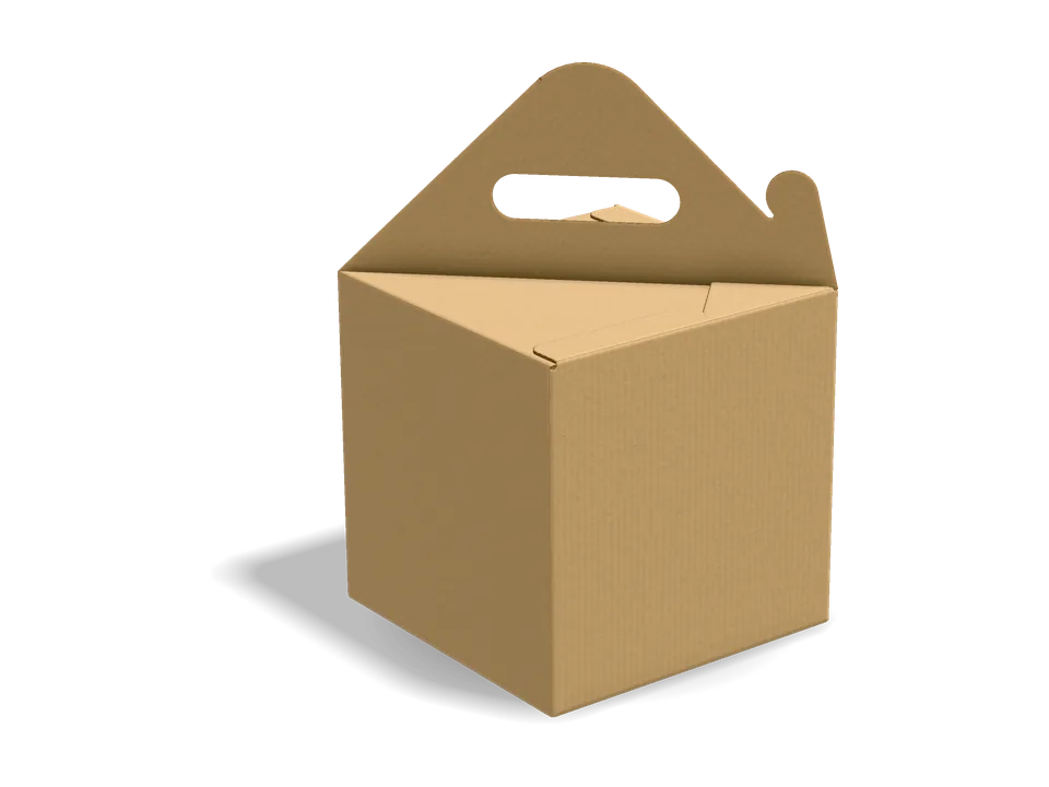 Carton with handle