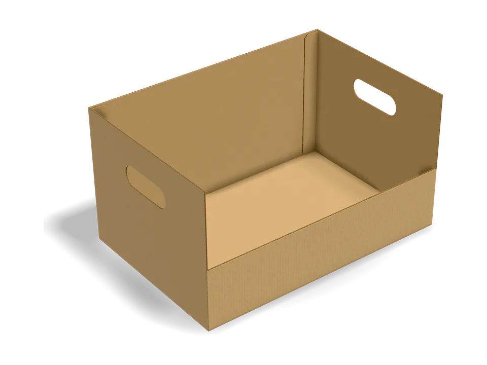 Display tray with handles