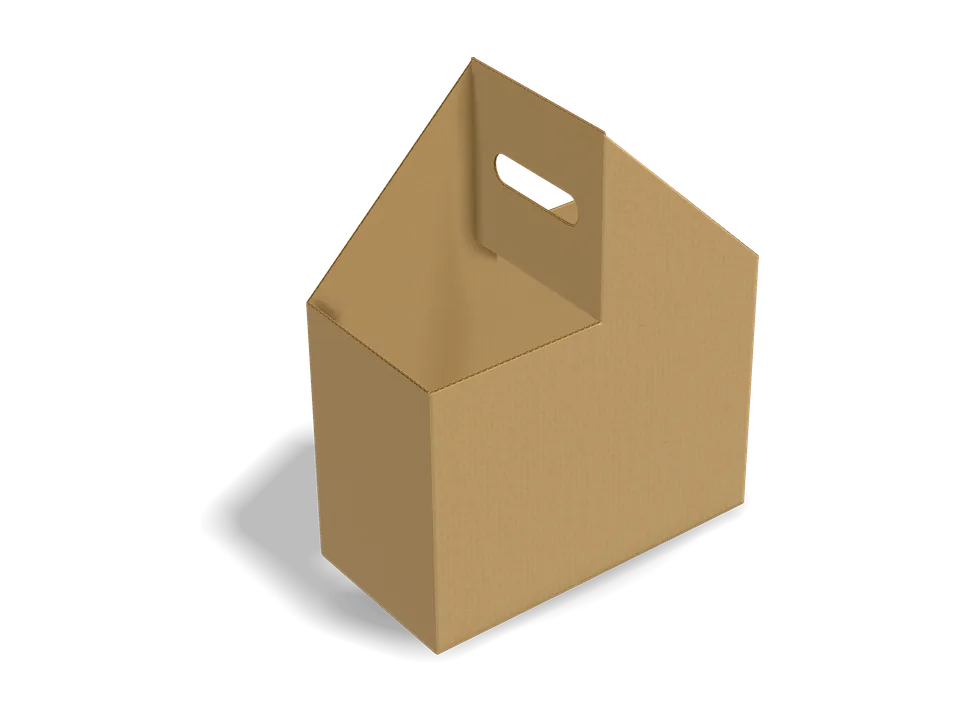 2-bottle carrier